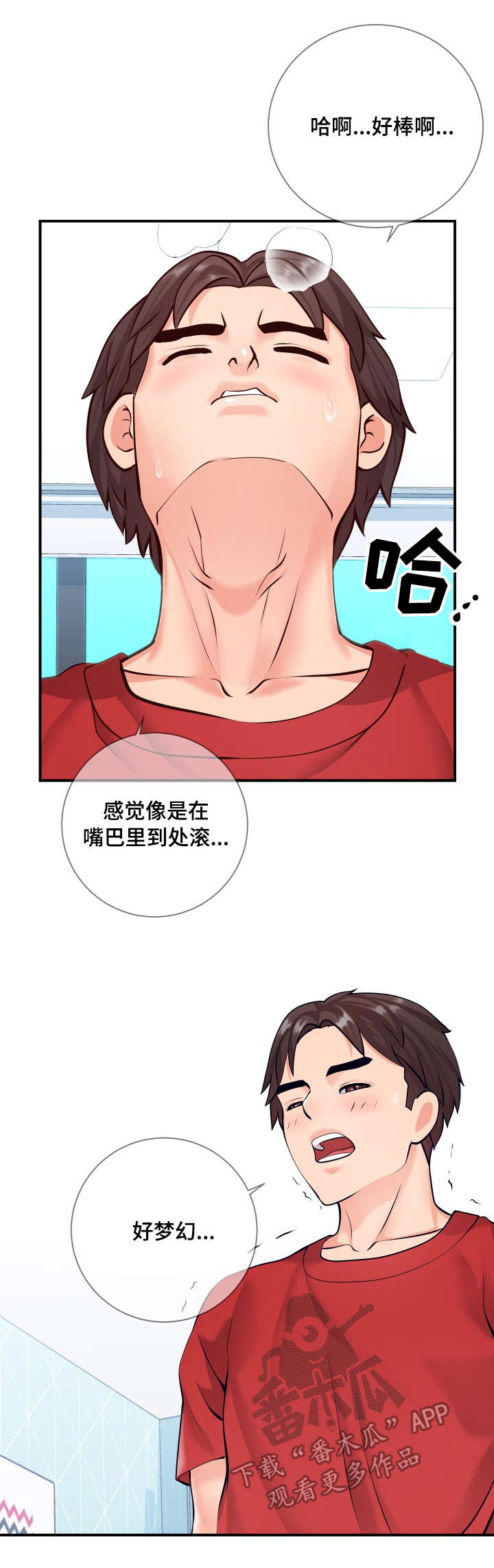 第20章：尝试11