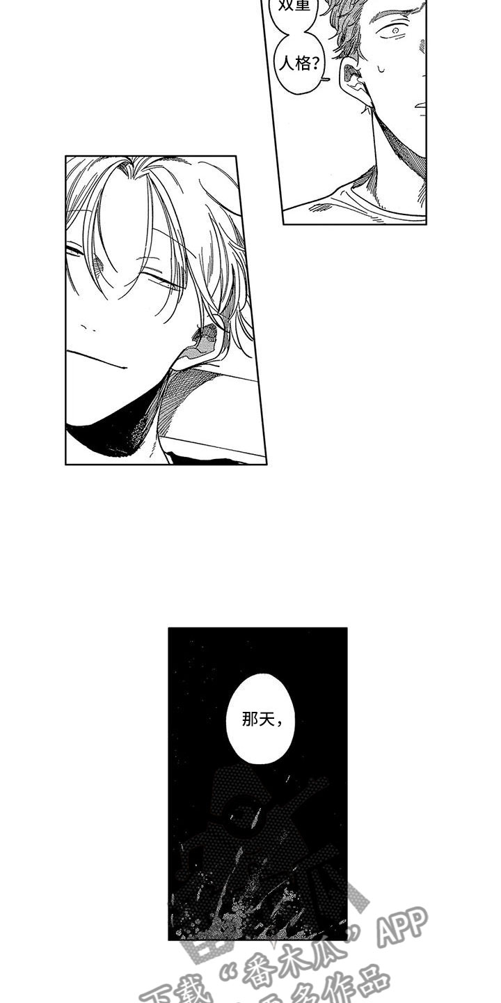第19章：双重人格10