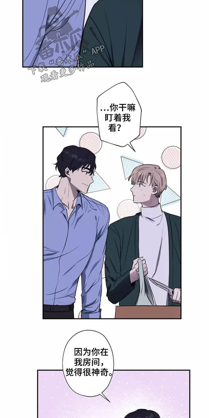 第17章：产生好奇9