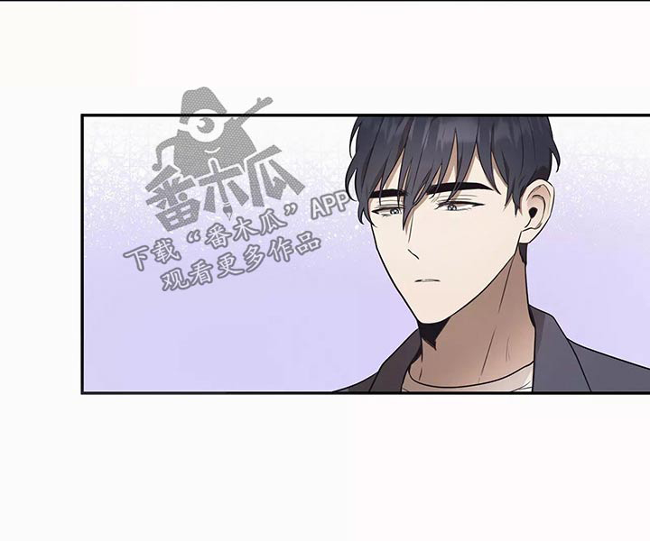 第41章：电影节19