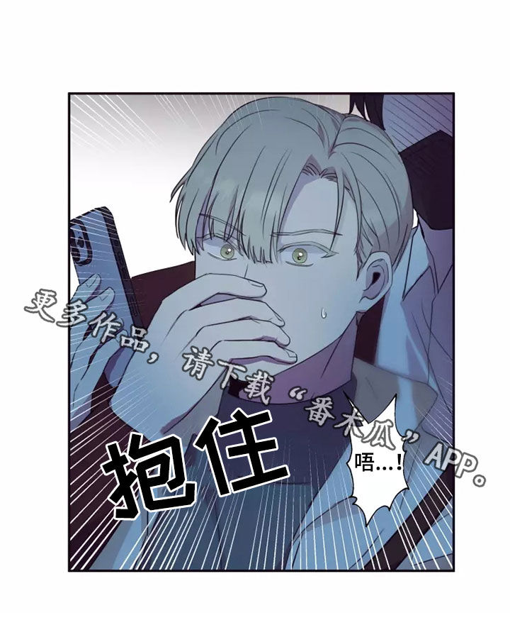 第33章：蒙面人17