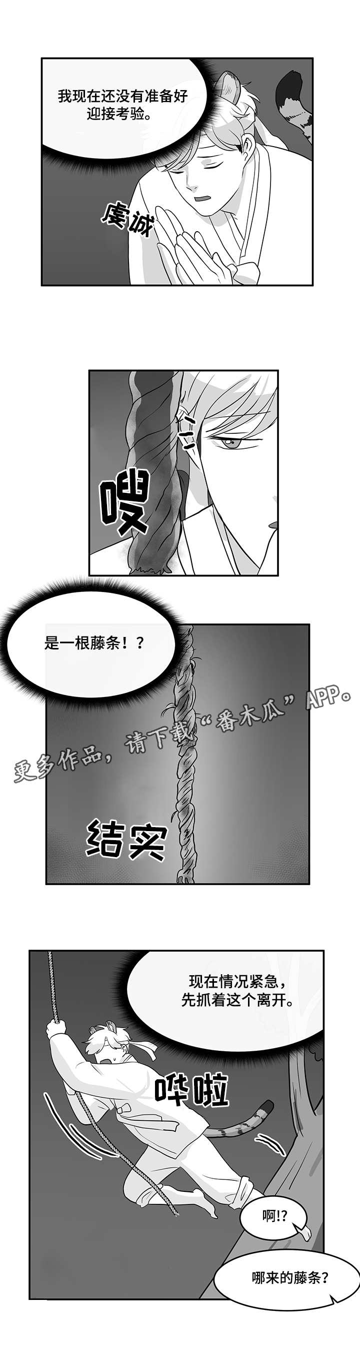 第11章：藤条9
