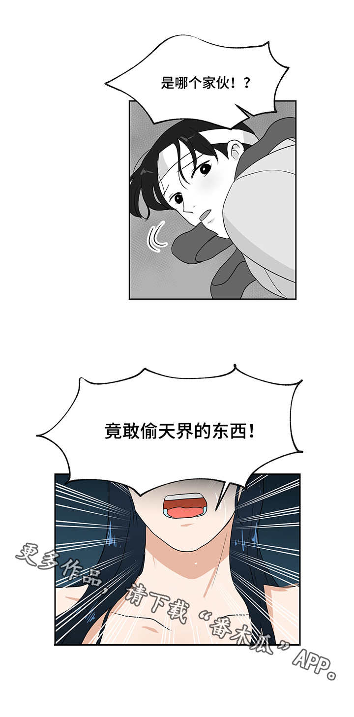 第33章：仙女3