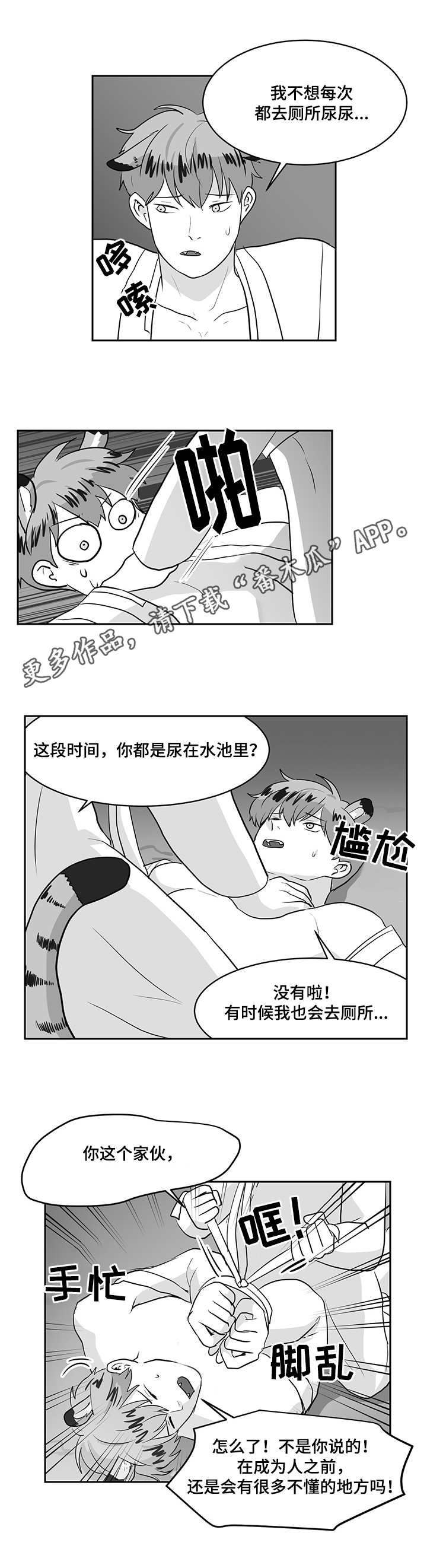 第24章：问题6