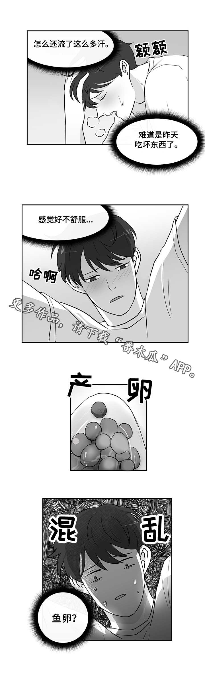 第16章：鱼卵3