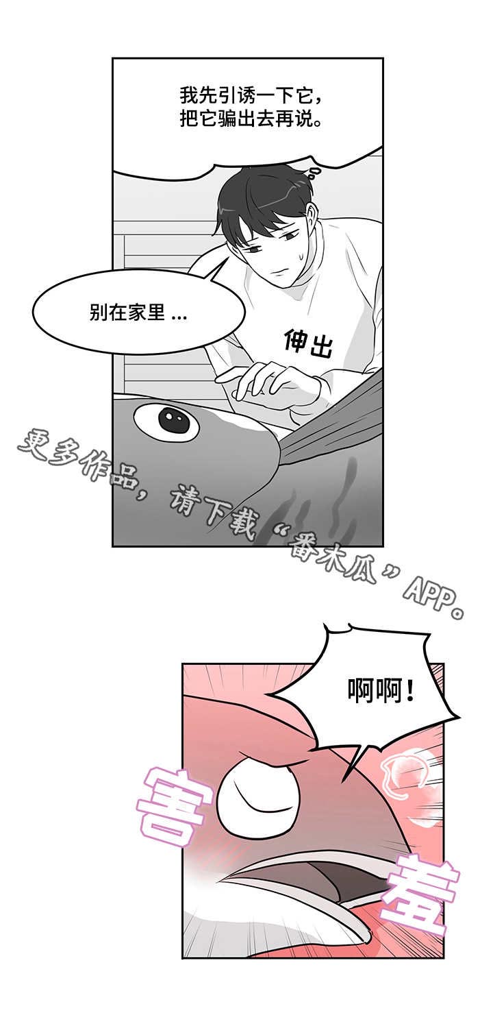 第14章：青花鱼9