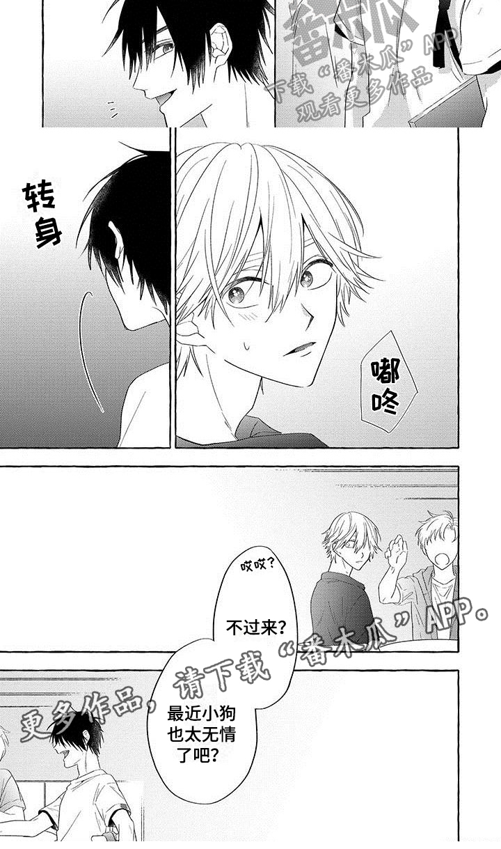 第10章：距离6