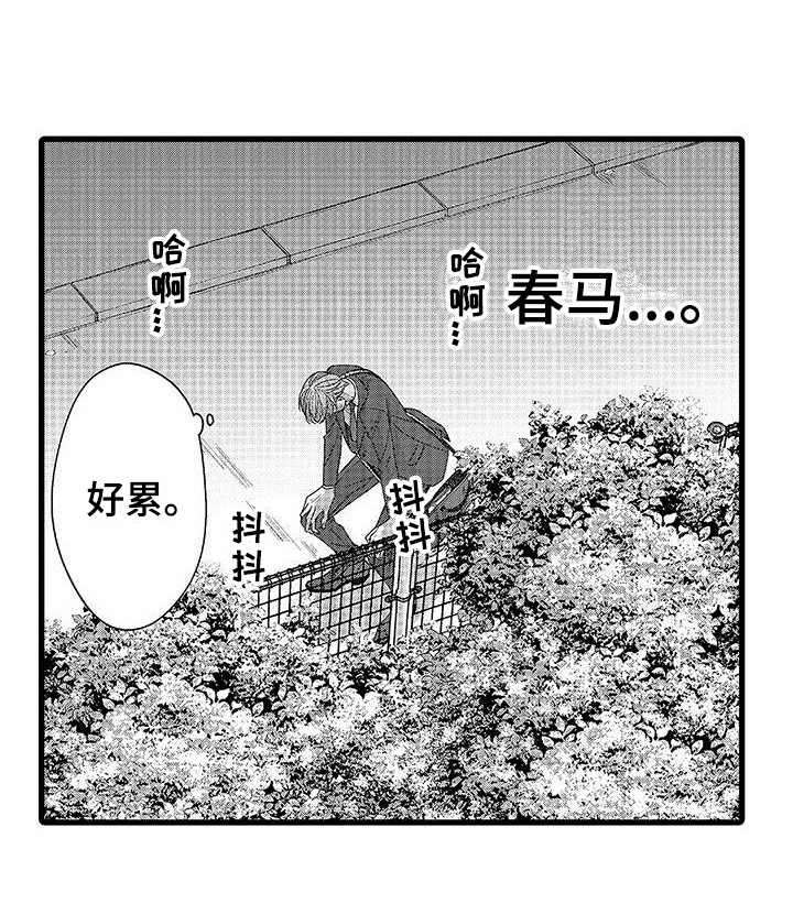 第7章：礼物11