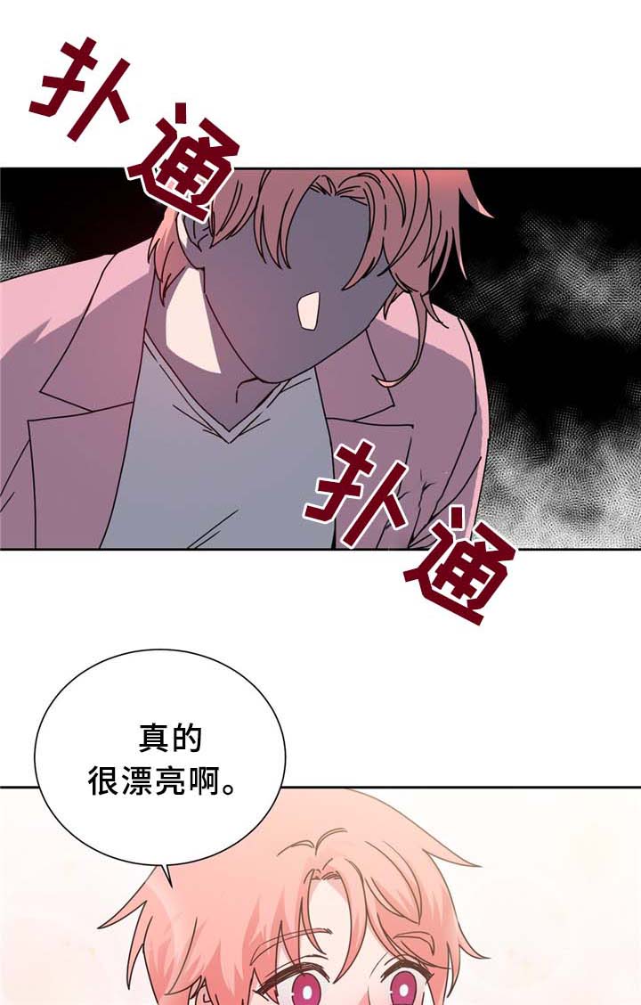第68章：命中的安排2