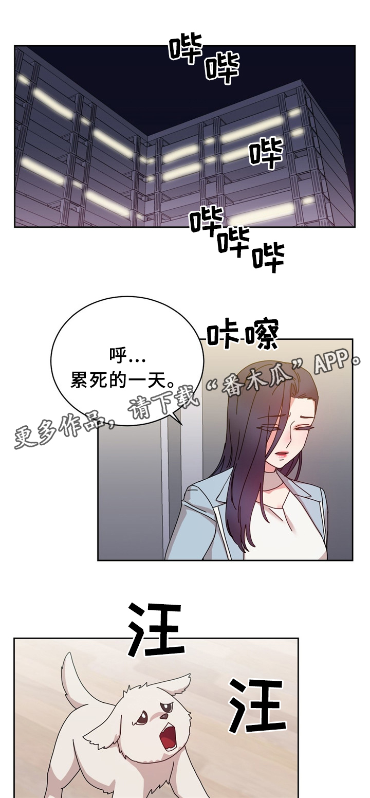 第63章：累死的一天11