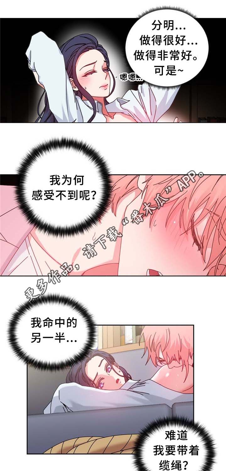 第68章：命中的安排12