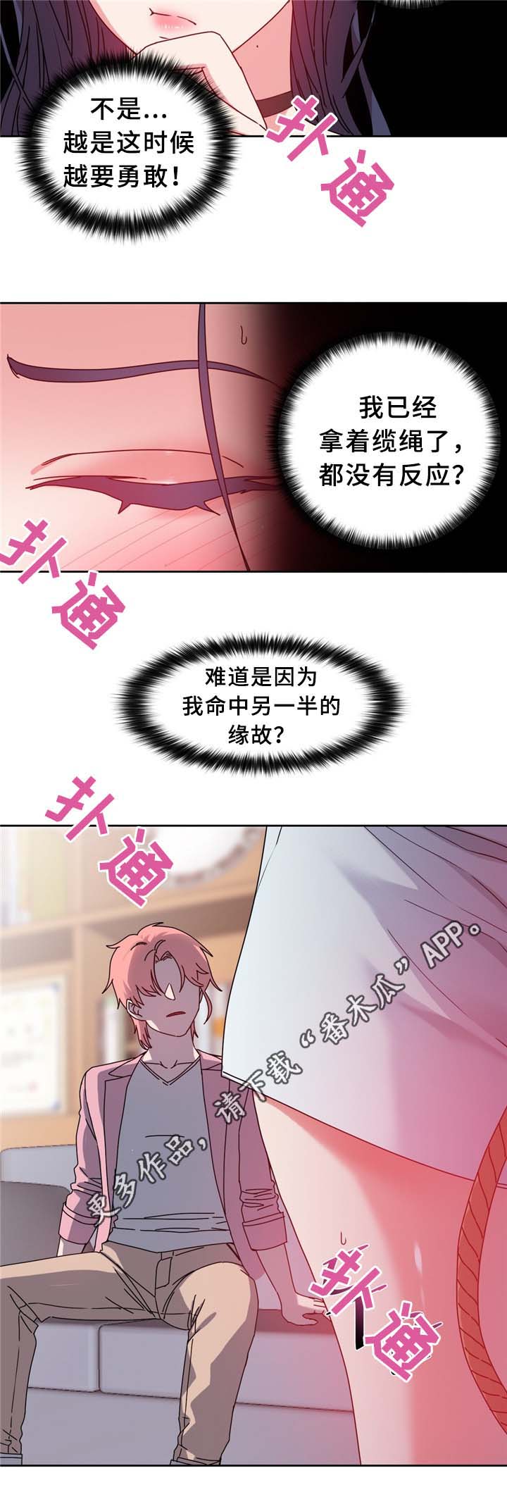 第68章：命中的安排1
