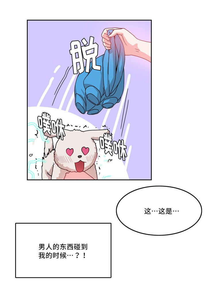 第52章：副作用14