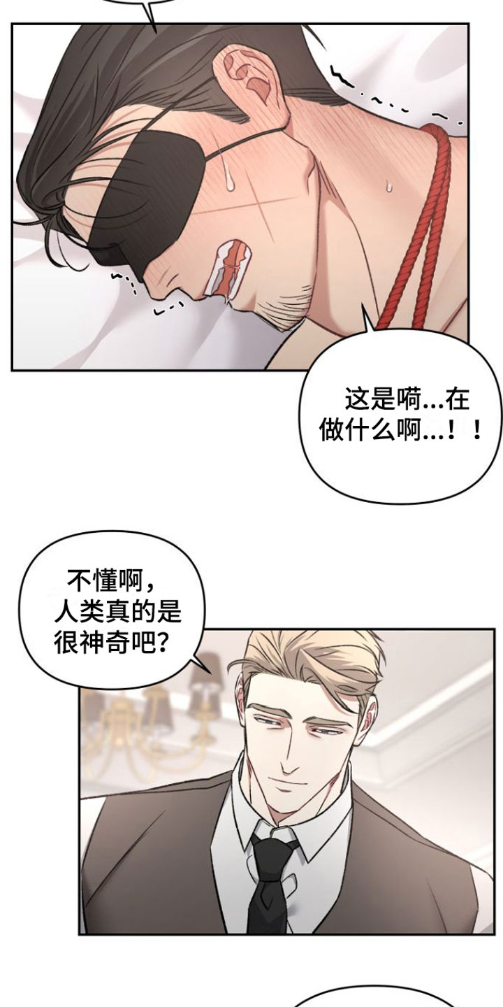 第10章：不行13