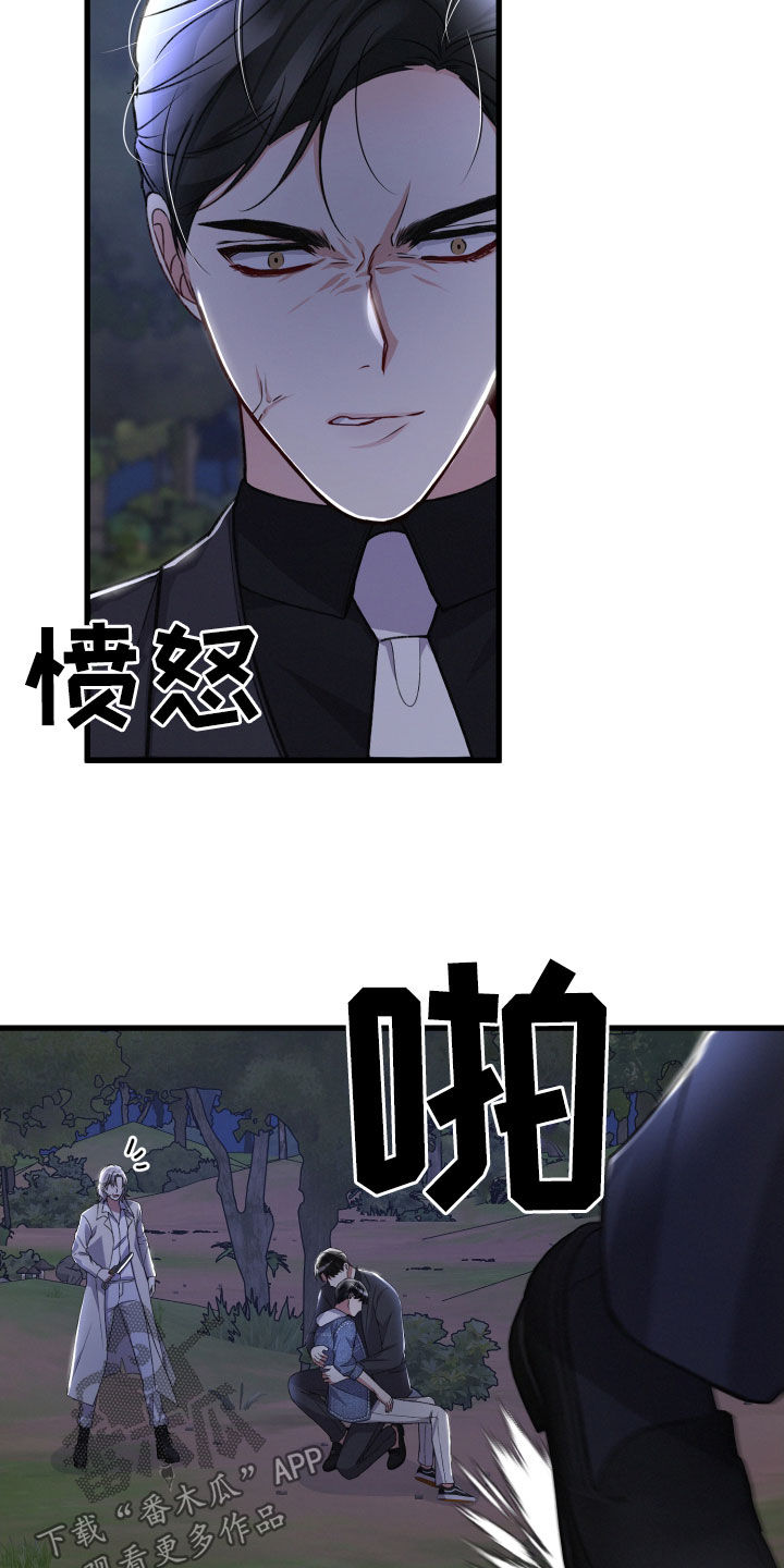 第117章：帮手12