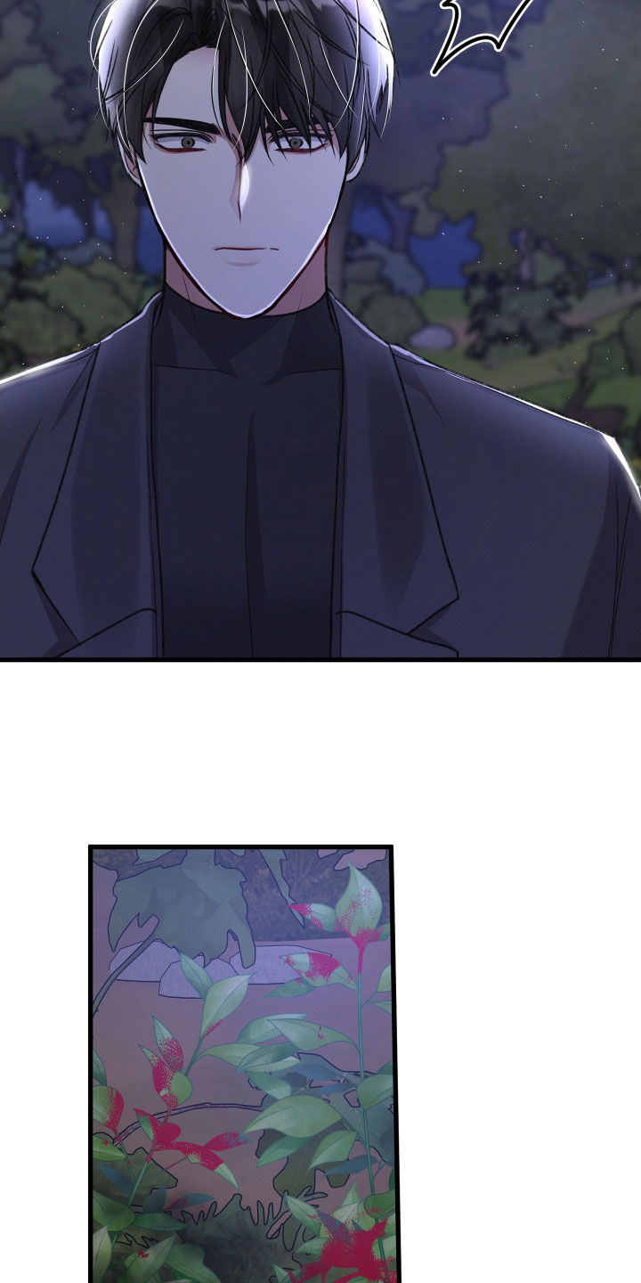 第115章：调虎离山18
