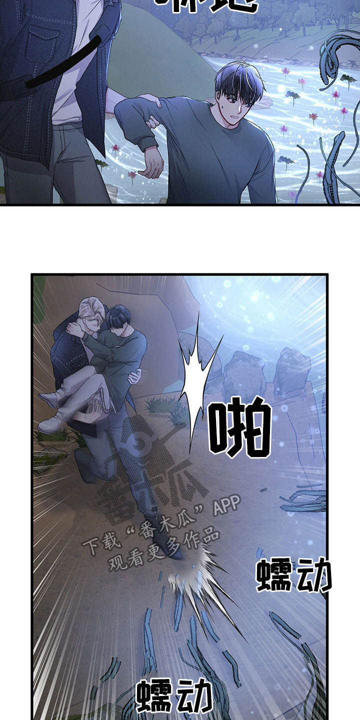 第46章：目的地20
