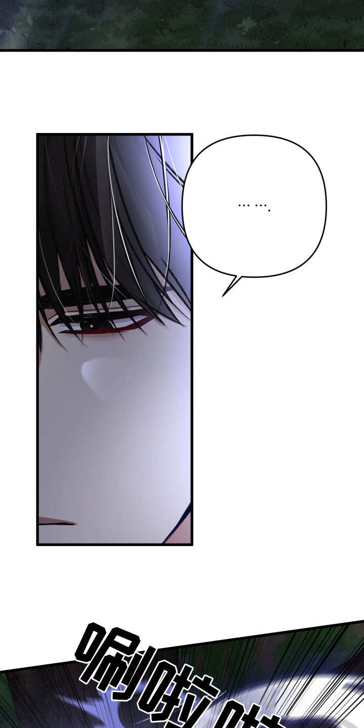 第96章：伏击19
