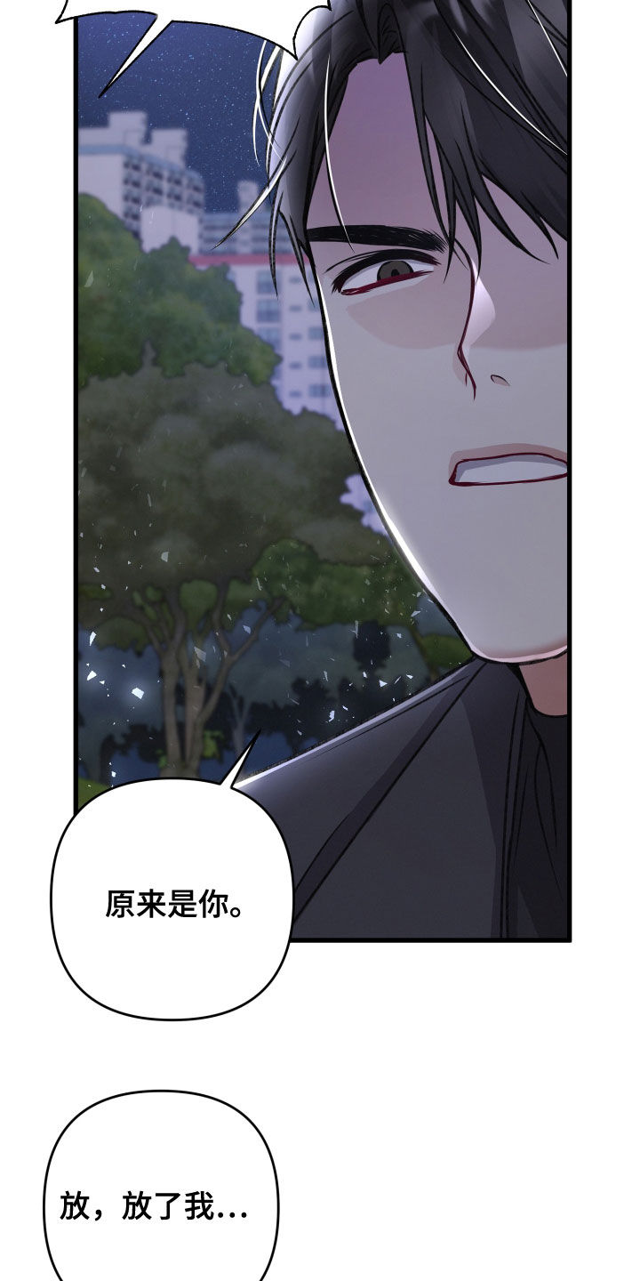 第115章：调虎离山8