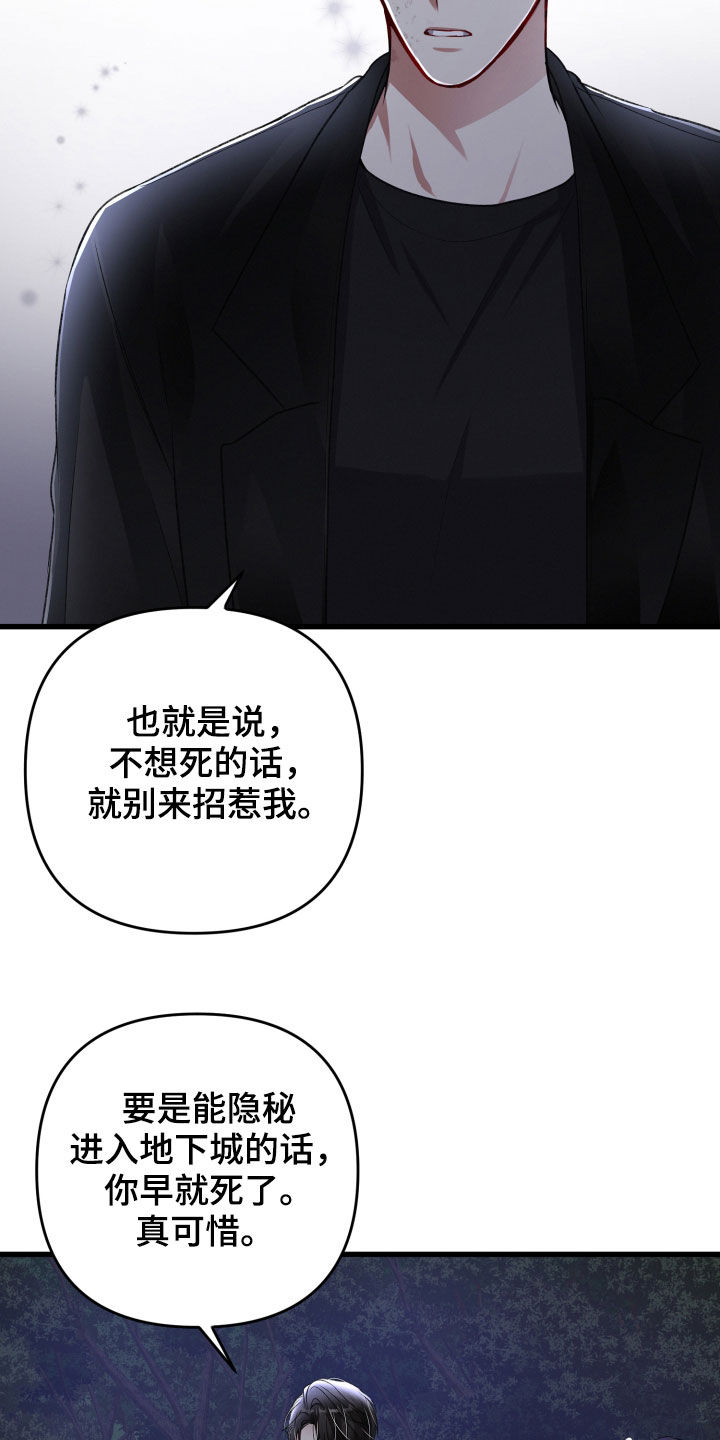 第99章：暗杀10