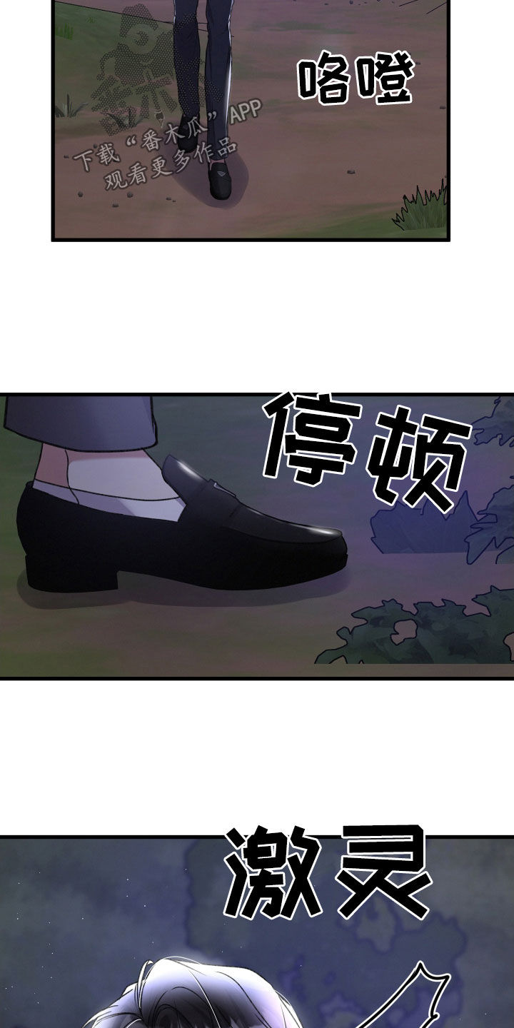 第115章：调虎离山17