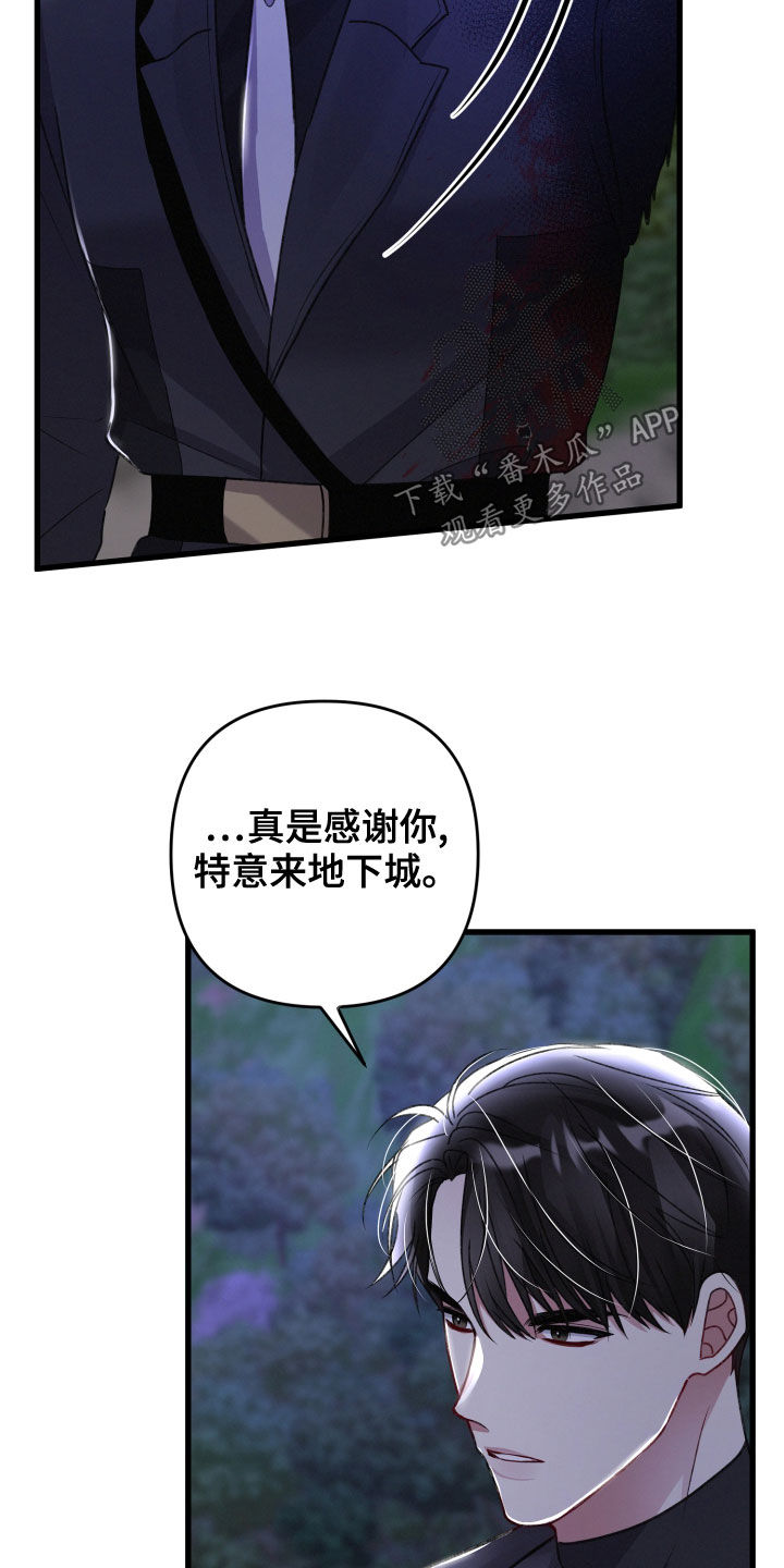 第117章：帮手28