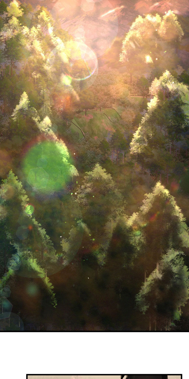 第96章：伏击10