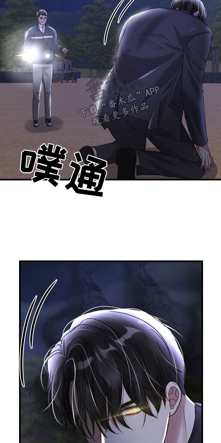 第119章：狂化前兆24
