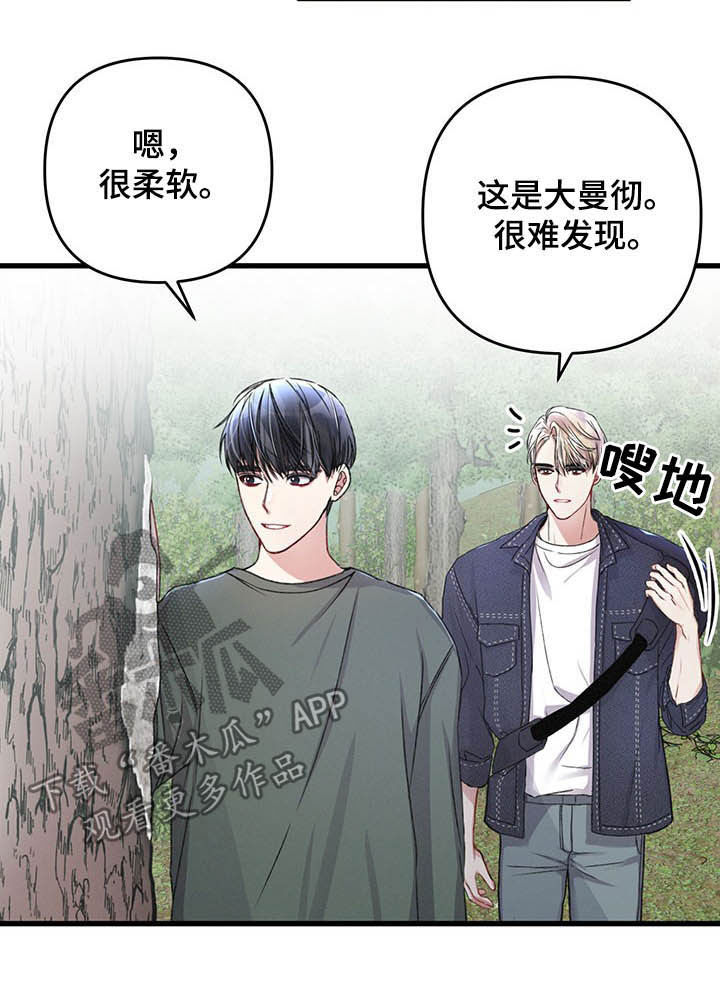 第45章：亲切的人10