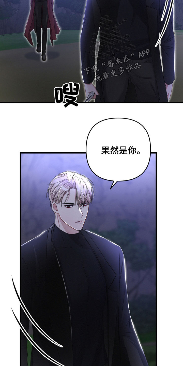第65章：打一架吧20