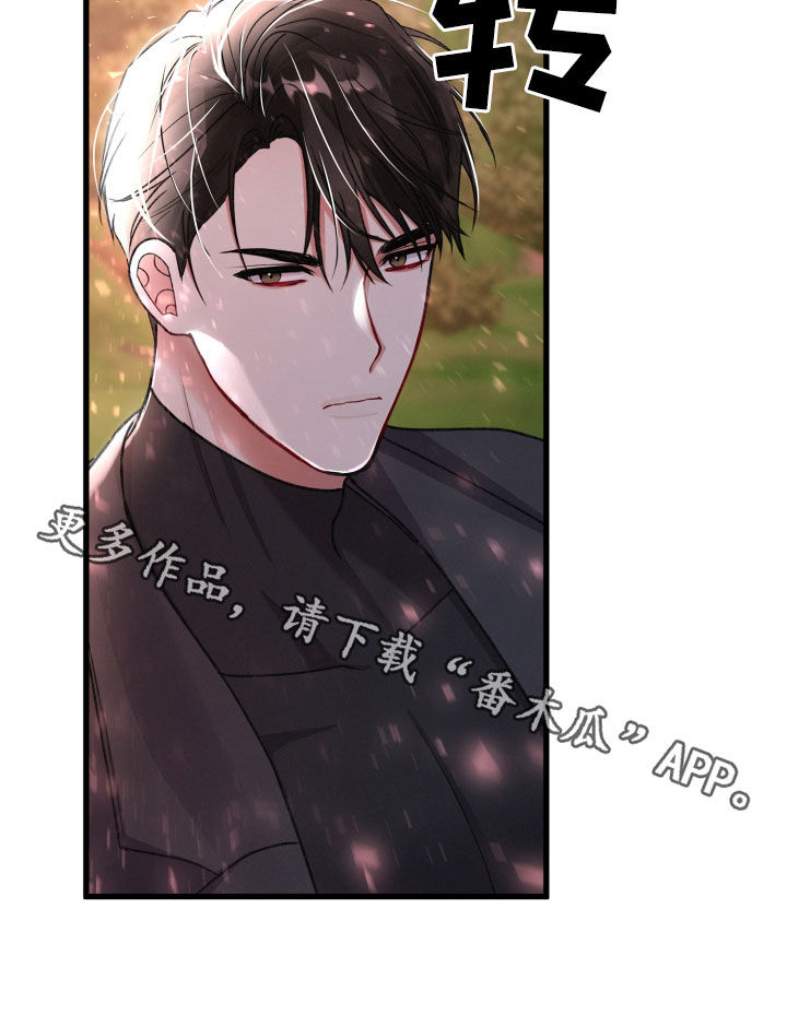 第117章：帮手33