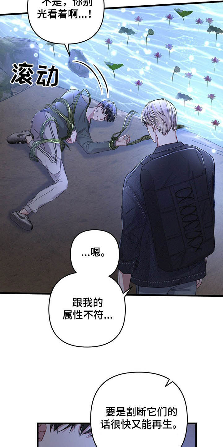 第46章：目的地17