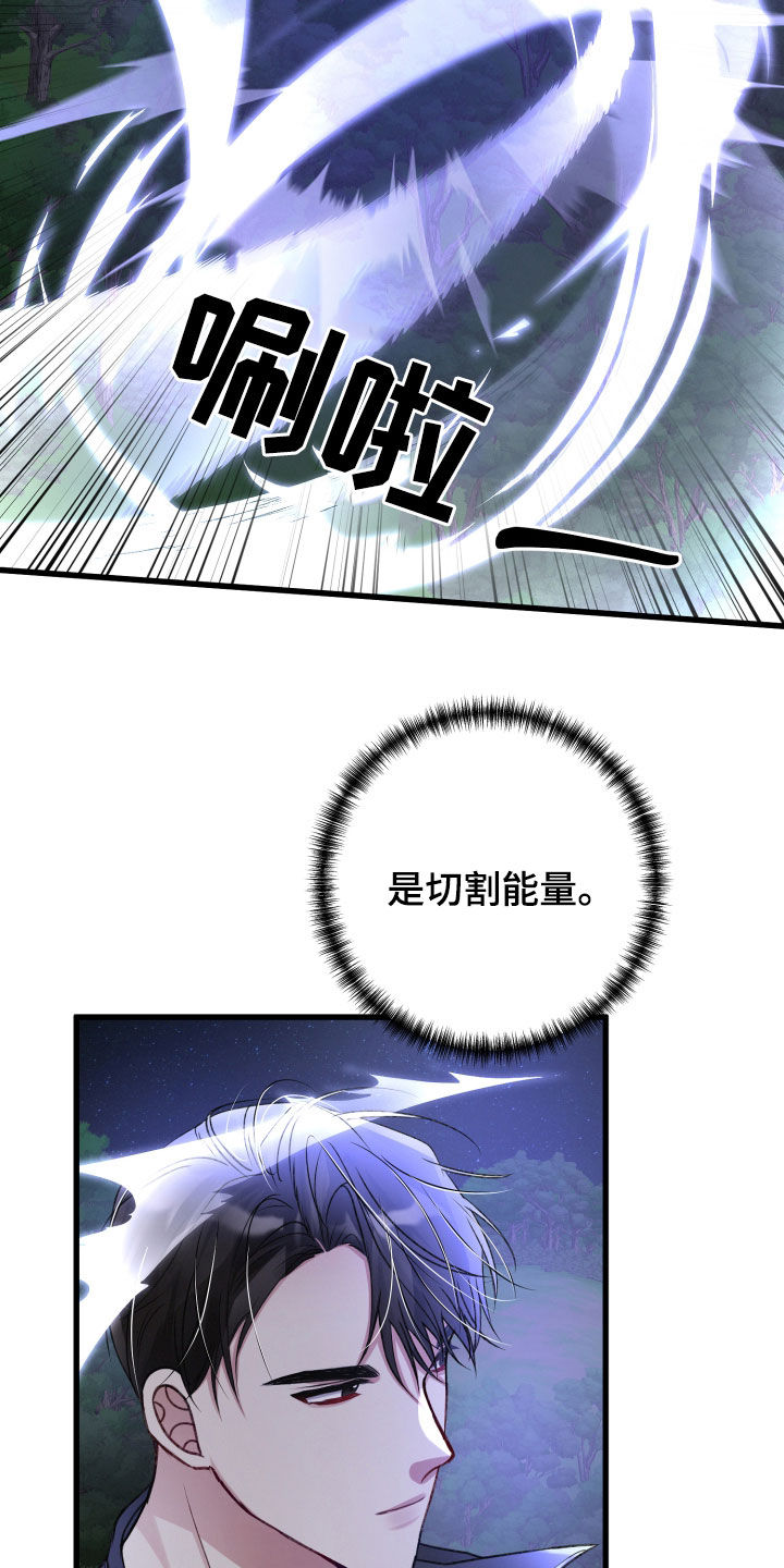 第96章：伏击21