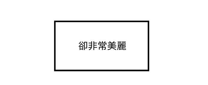 第37章：加班8
