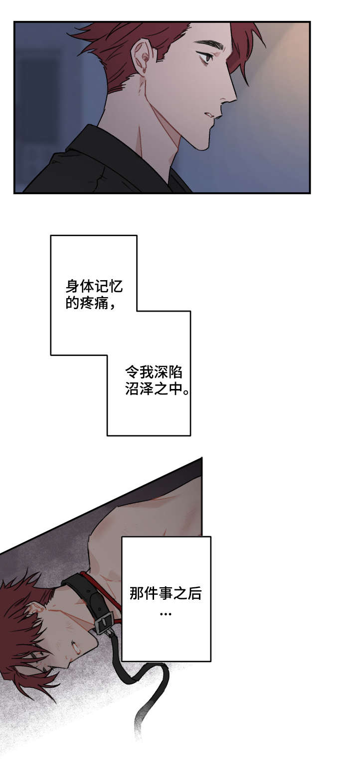 第15章：急性子8