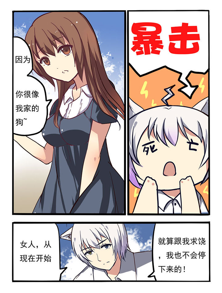 第3章：2