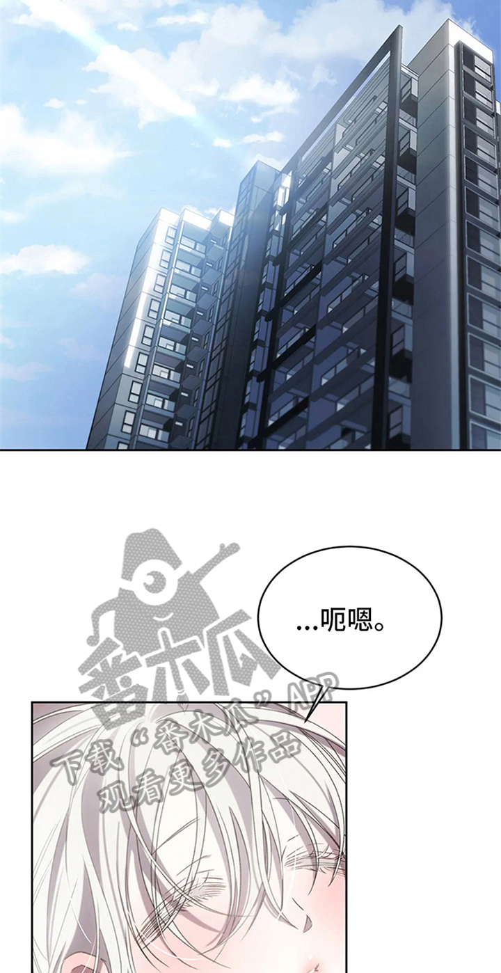 第5章：拍广告8