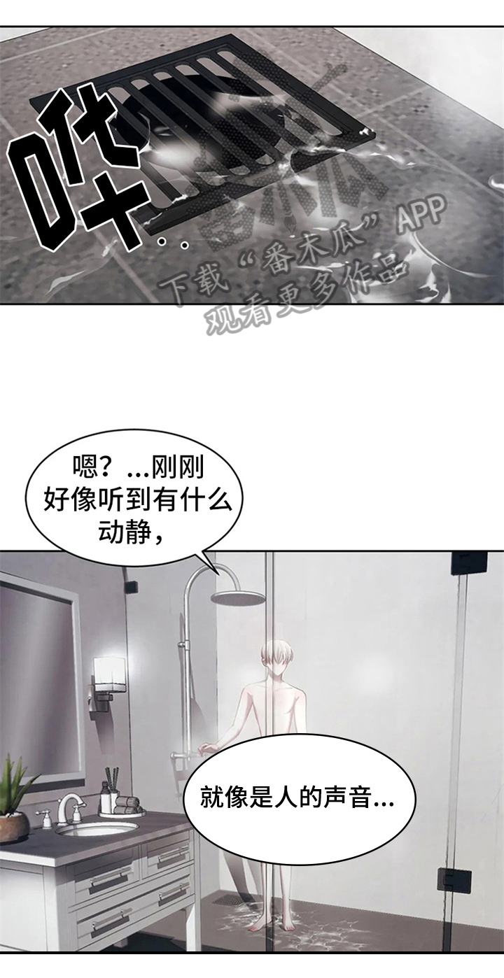 第5章：拍广告6