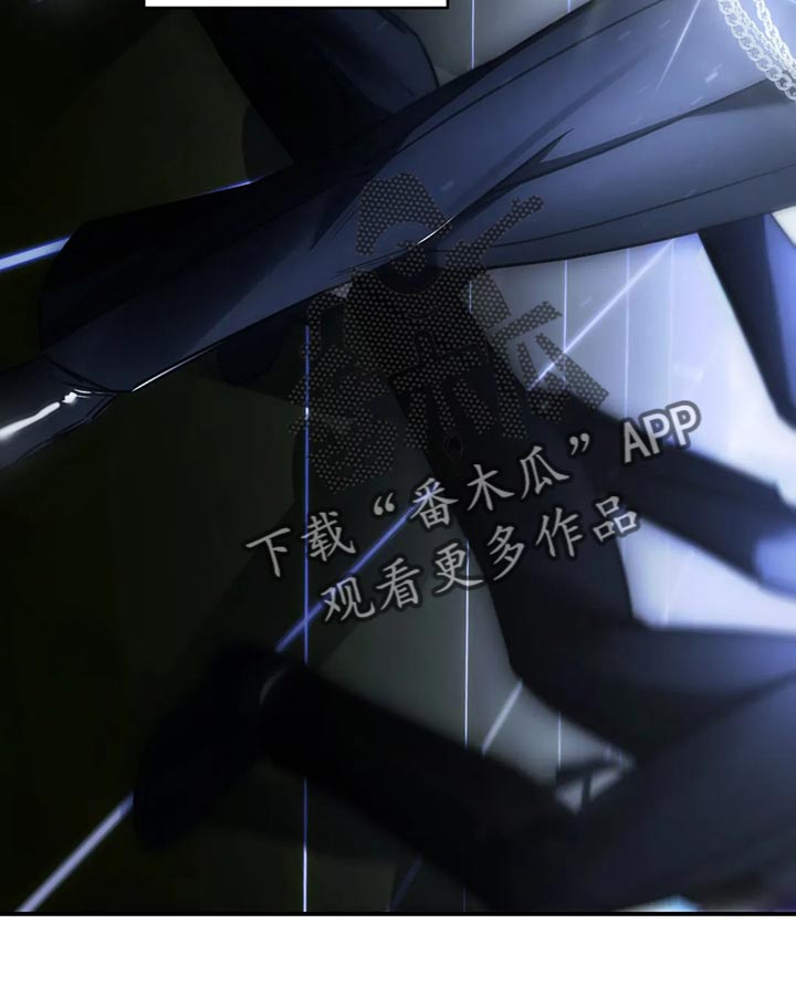 第46章：发光发亮16