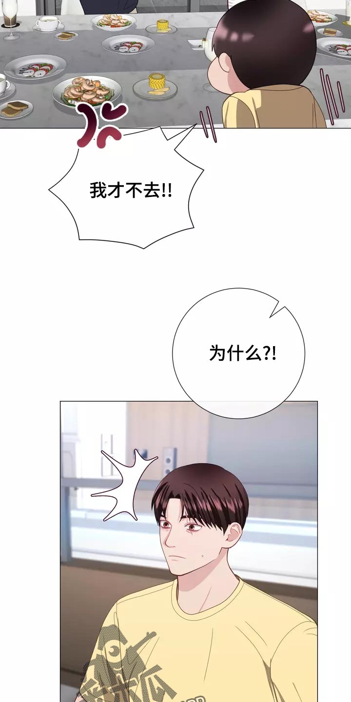 第42章：保持距离12
