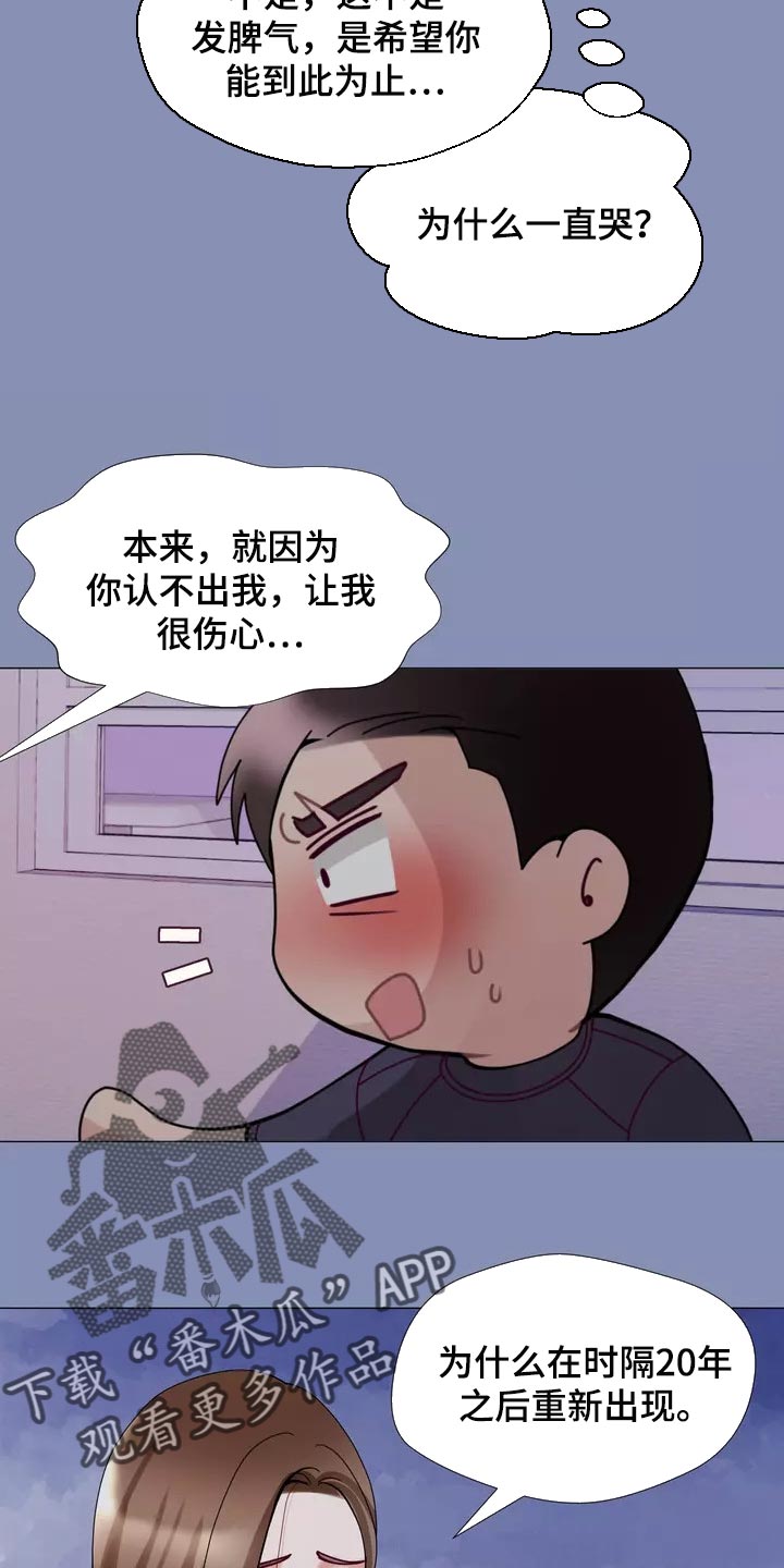 第27章：大傻瓜3
