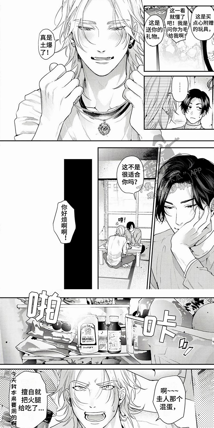 第10章：项链1
