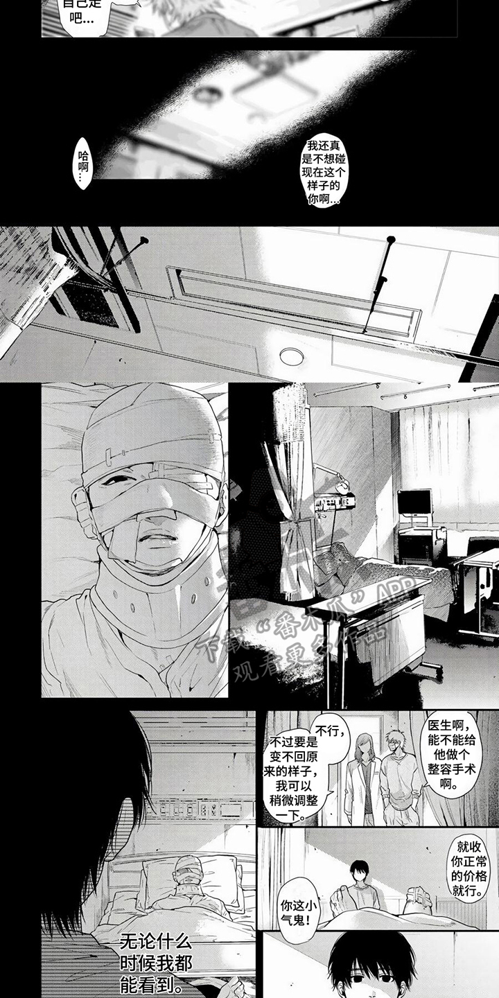 第19章：情感寄托1