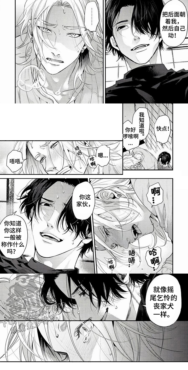 第14章：生气5