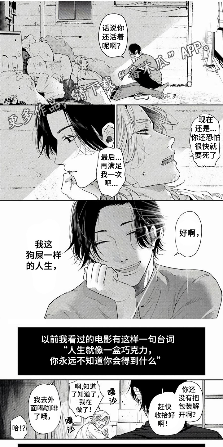 第5章：拍摄0