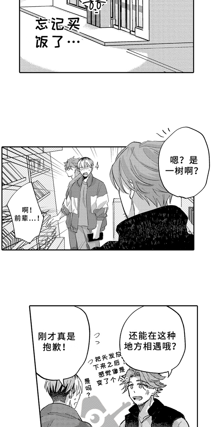第23章：介绍12