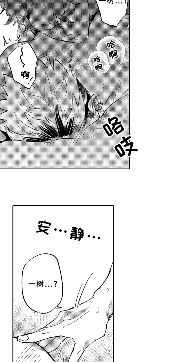 第23章：介绍4