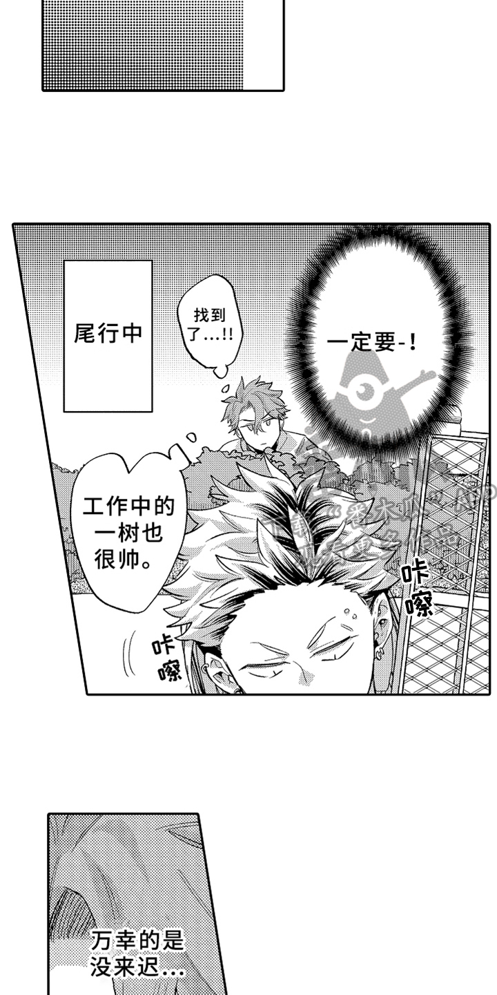 第17章：跟踪3