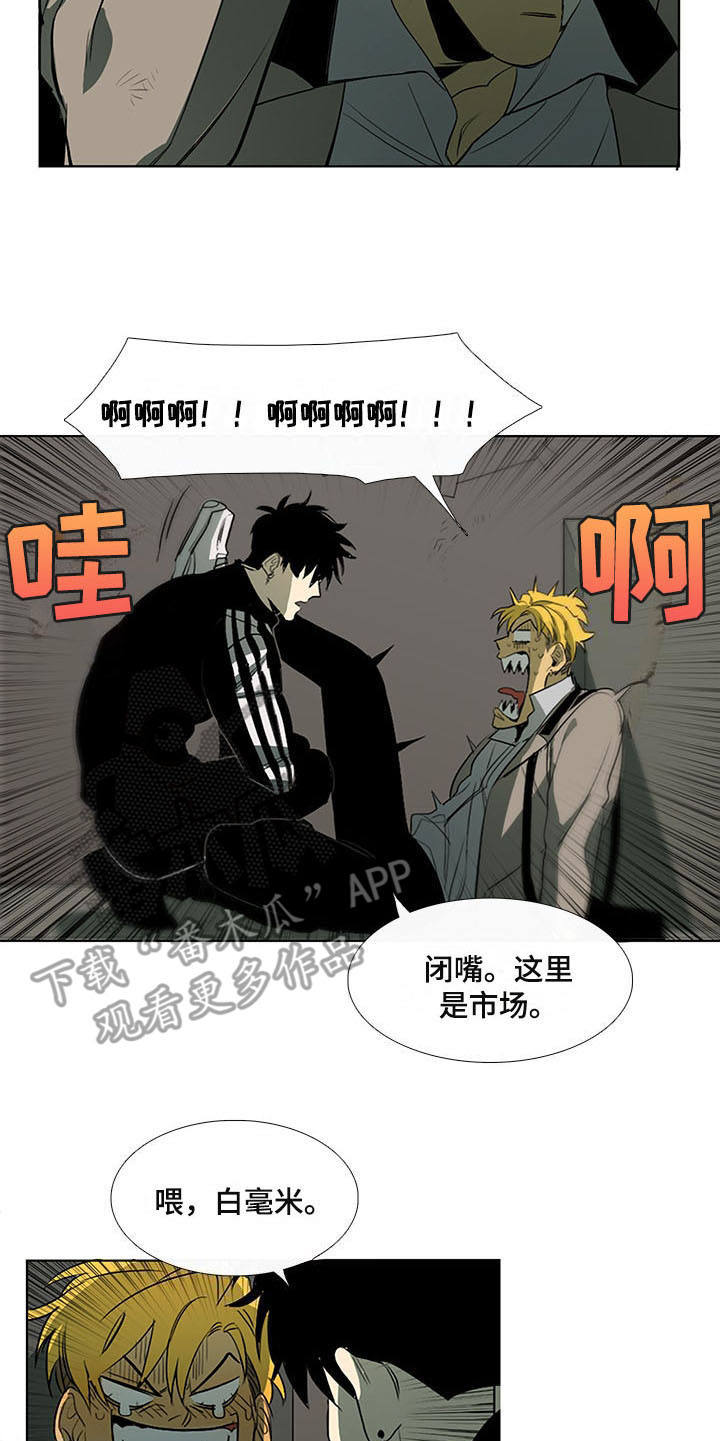 第9章：白毫米14