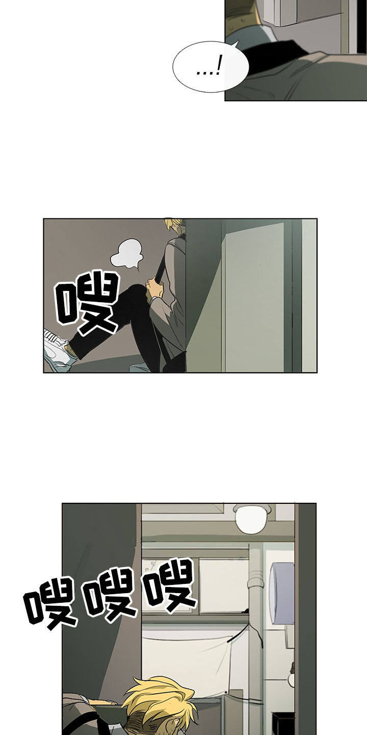 第9章：白毫米11